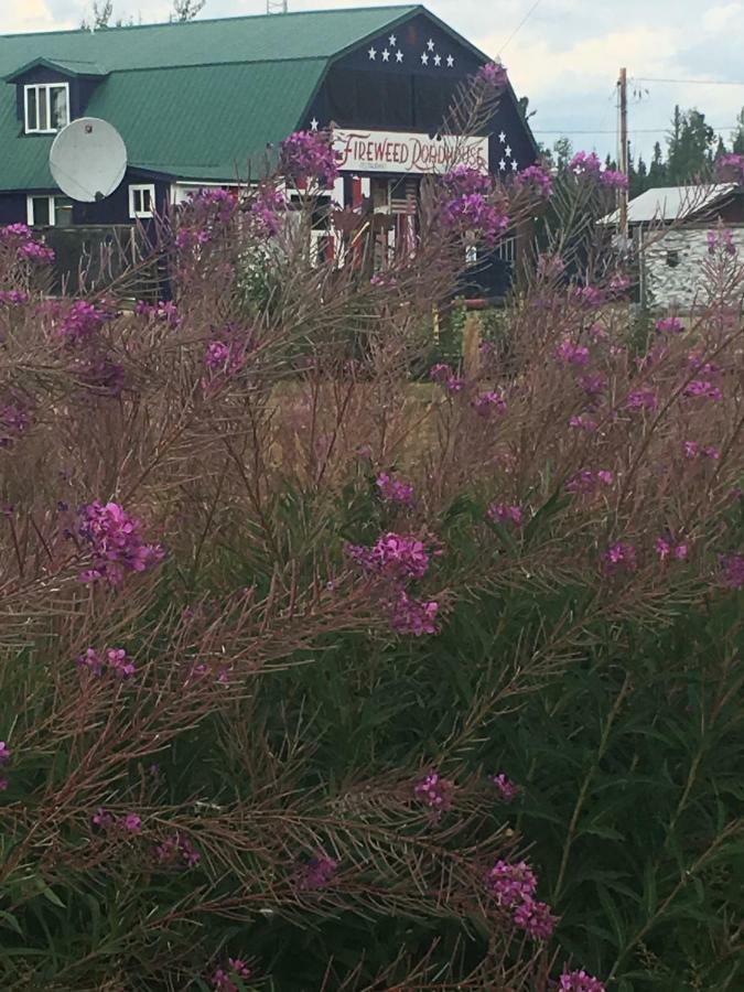 Fireweed Roadhouse Villa Nenana Exterior photo